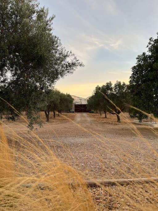 Quinta Da Alfarrobeira Peaceful Countryside Stay Фару Экстерьер фото