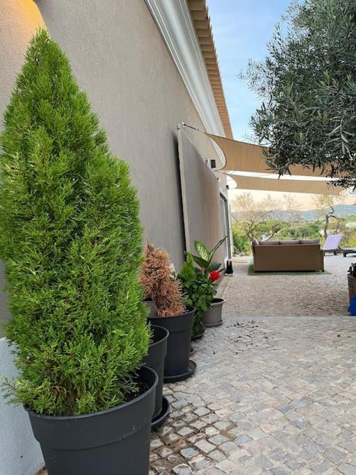 Quinta Da Alfarrobeira Peaceful Countryside Stay Фару Экстерьер фото