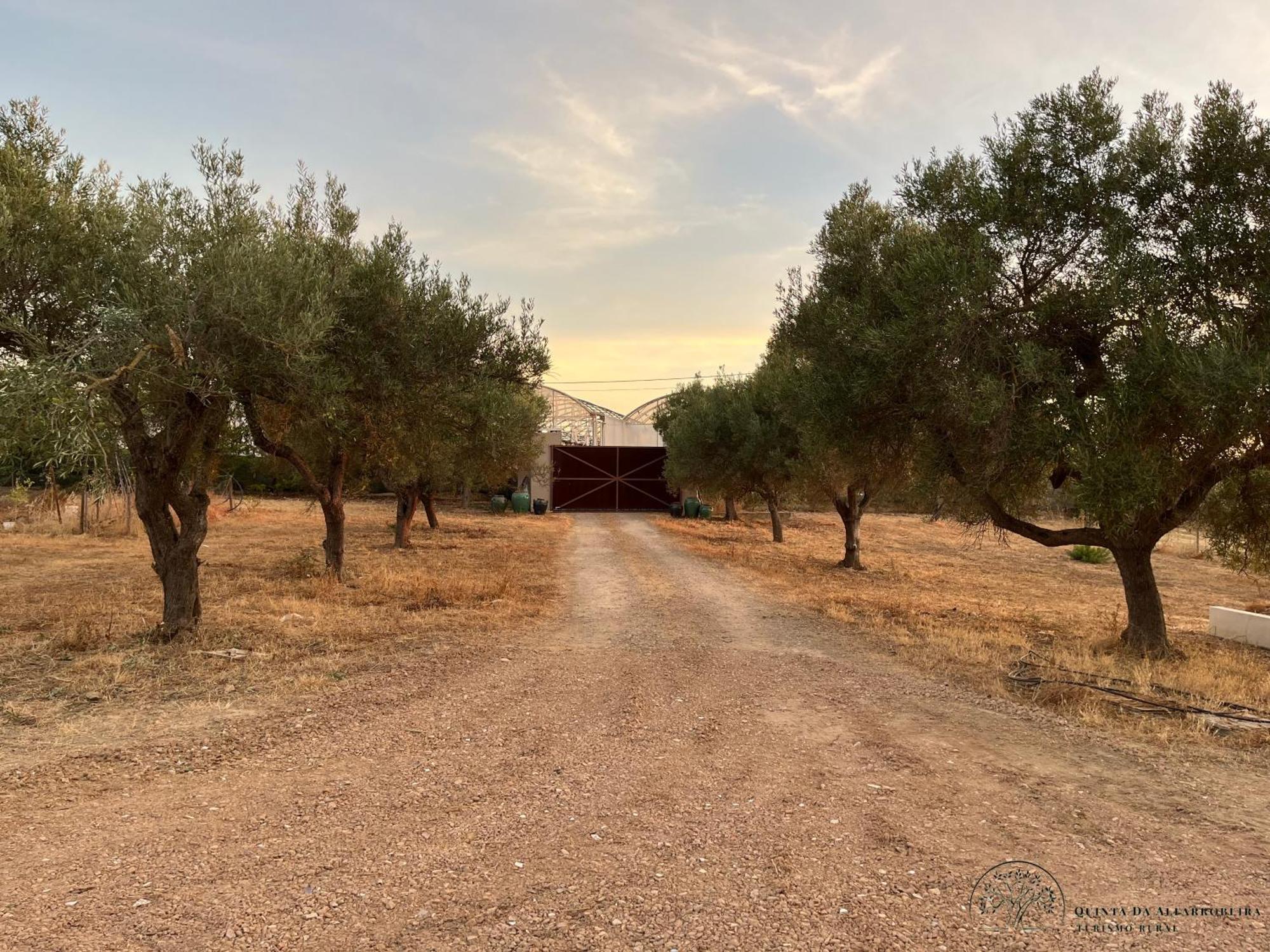 Quinta Da Alfarrobeira Peaceful Countryside Stay Фару Экстерьер фото